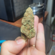 big bud